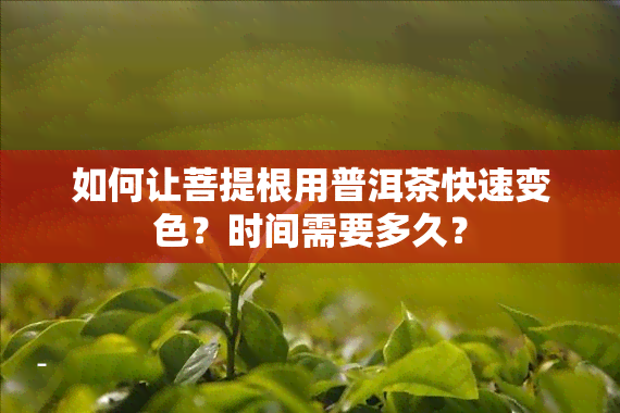 如何让菩提根用普洱茶快速变色？时间需要多久？