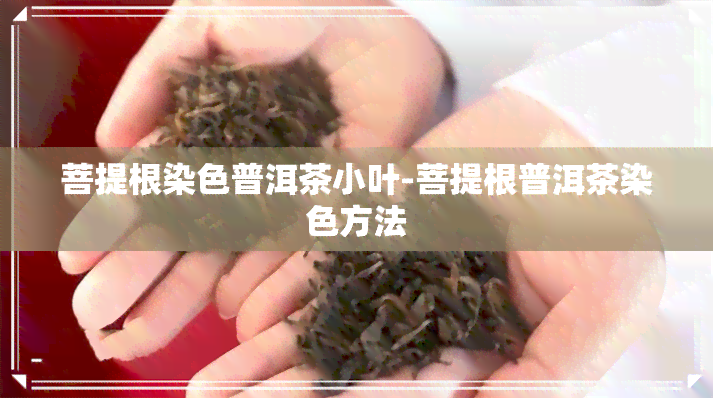 菩提根染色普洱茶小叶-菩提根普洱茶染色方法