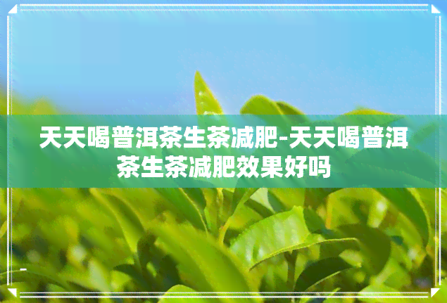 天天喝普洱茶生茶减肥-天天喝普洱茶生茶减肥效果好吗