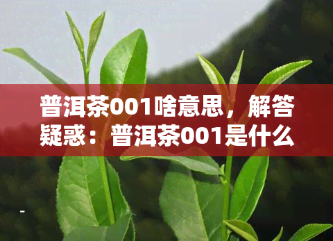 普洱茶001啥意思，解答疑惑：普洱茶001是什么意思？