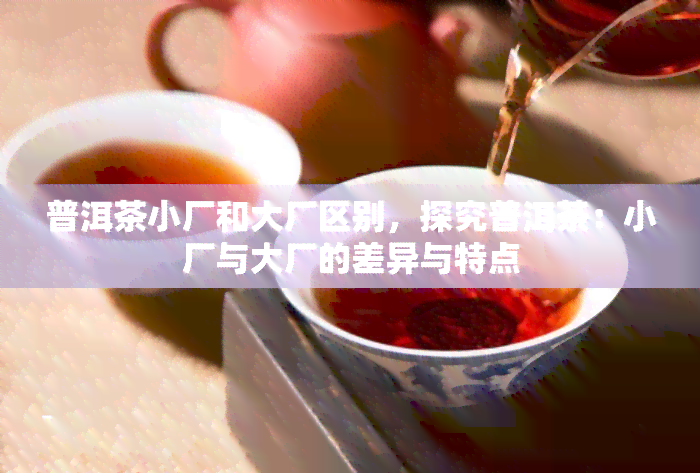 普洱茶小厂和大厂区别，探究普洱茶：小厂与大厂的差异与特点