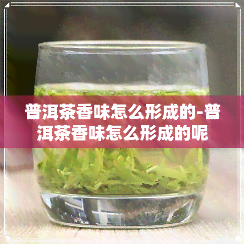 普洱茶香味怎么形成的-普洱茶香味怎么形成的呢