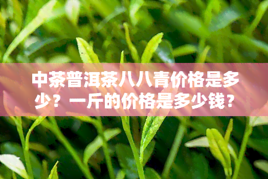 中茶普洱茶八八青价格是多少？一斤的价格是多少钱？