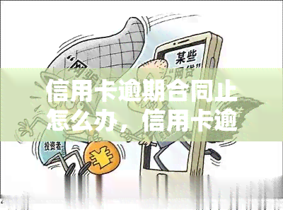 信用卡逾期合同止怎么办，信用卡逾期导致合同止：应对策略与解决方案