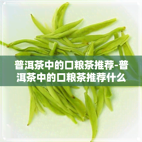 普洱茶中的口粮茶推荐-普洱茶中的口粮茶推荐什么茶