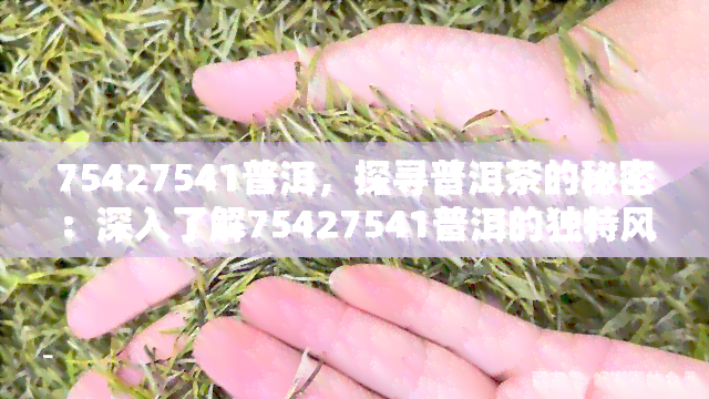 75427541普洱，探寻普洱茶的秘密：深入了解75427541普洱的独特风味与历背景