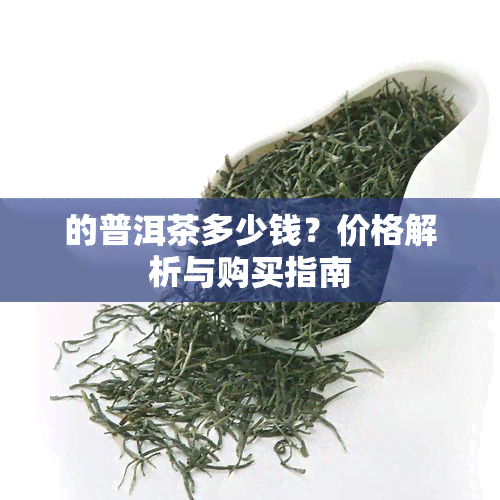 的普洱茶多少钱？价格解析与购买指南