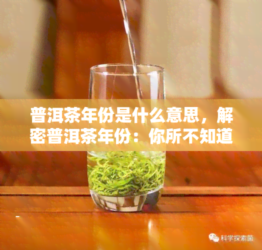 普洱茶年份是什么意思，解密普洱茶年份：你所不知道的茶叶知识