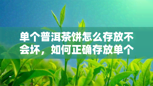 单个普洱茶饼怎么存放不会坏，如何正确存放单个普洱茶饼，避免变质？