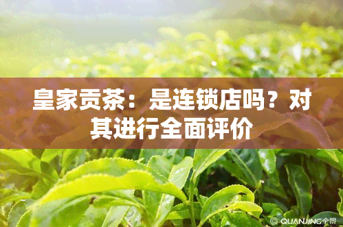 皇家贡茶：是连锁店吗？对其进行全面评价