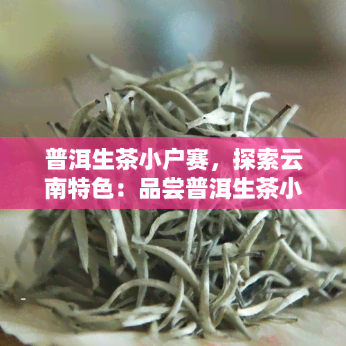 普洱生茶小户赛，探索云南特色：品尝普洱生茶小户赛的魅力