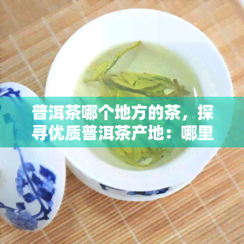 普洱茶哪个地方的茶，探寻优质普洱茶产地：哪里的普洱茶口感？