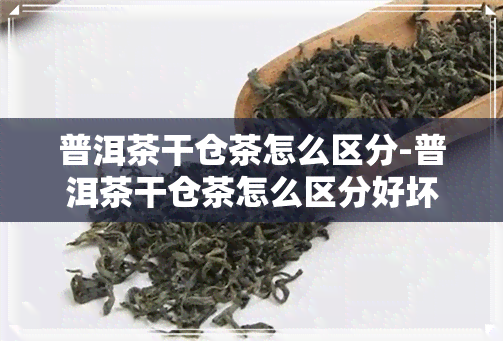 普洱茶干仓茶怎么区分-普洱茶干仓茶怎么区分好坏