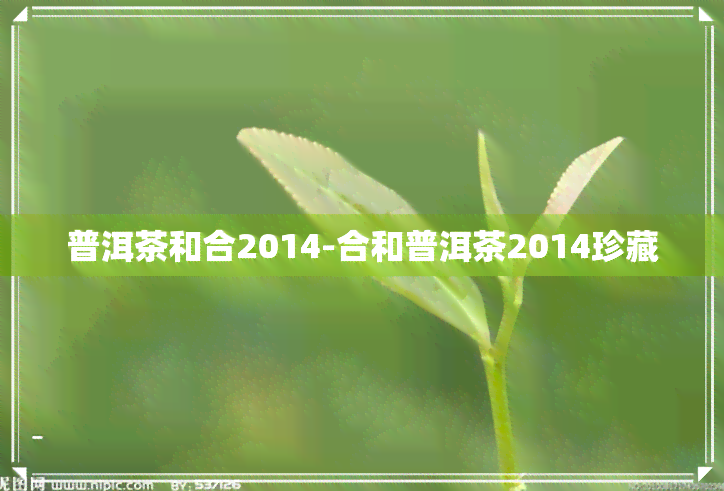 普洱茶和合2014-合和普洱茶2014珍藏