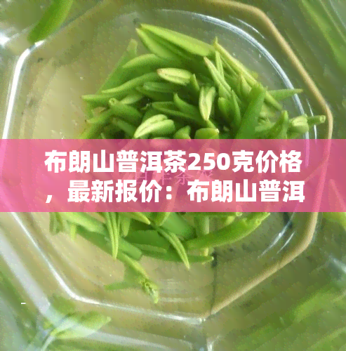 布朗山普洱茶250克价格，最新报价：布朗山普洱茶250克售价