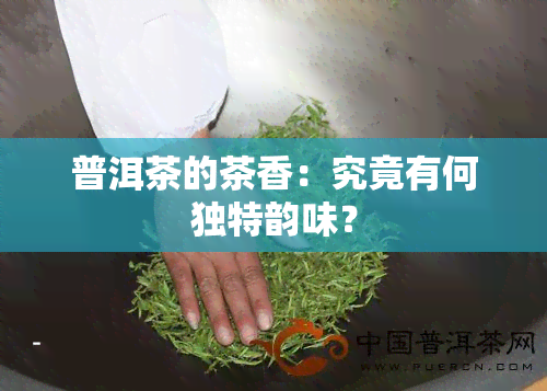 普洱茶的茶香：究竟有何独特韵味？