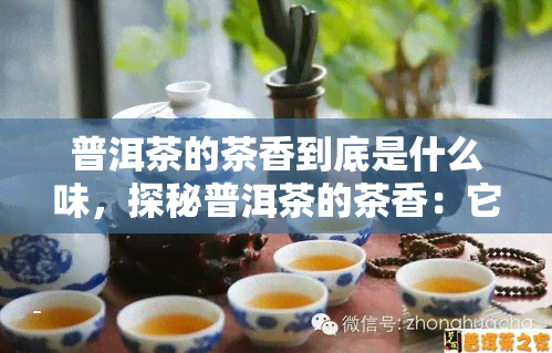 普洱茶的茶香到底是什么味，探秘普洱茶的茶香：它究竟有何独特味道？