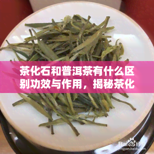 茶化石和普洱茶有什么区别功效与作用，揭秘茶化石与普洱茶的差异：功效与作用对比