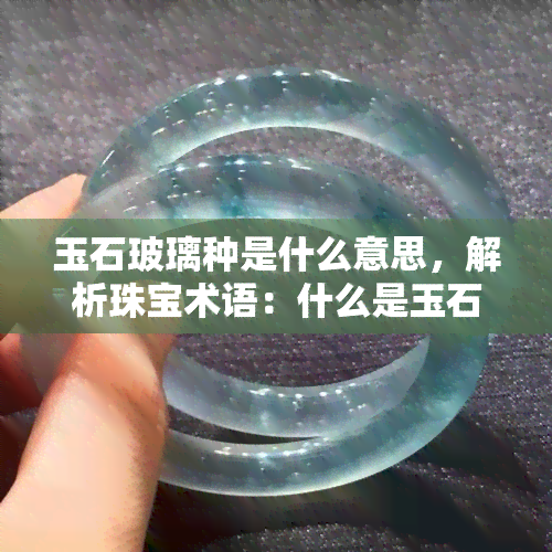 玉石玻璃种是什么意思，解析珠宝术语：什么是玉石玻璃种？