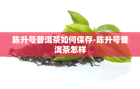 陈升号普洱茶如何保存-陈升号普洱茶怎样