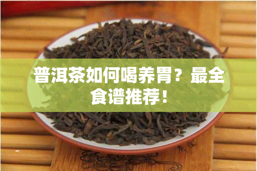 普洱茶如何喝养胃？最全食谱推荐！