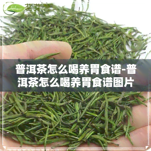 普洱茶怎么喝养胃食谱-普洱茶怎么喝养胃食谱图片