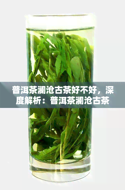 普洱茶澜沧古茶好不好，深度解析：普洱茶澜沧古茶，品质如何？