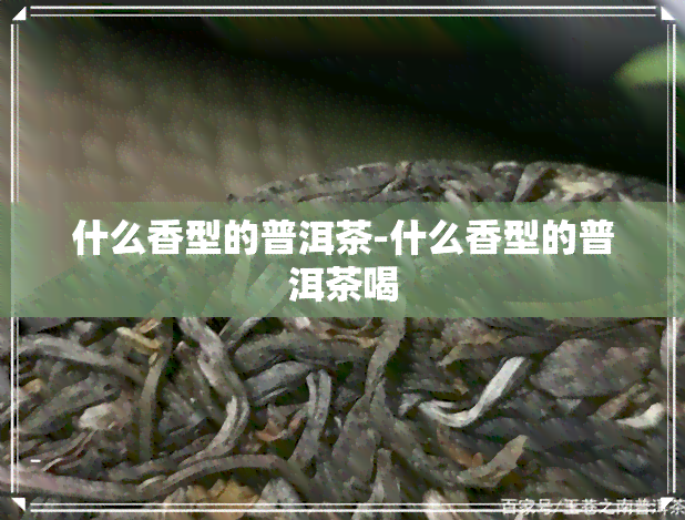 什么香型的普洱茶-什么香型的普洱茶喝