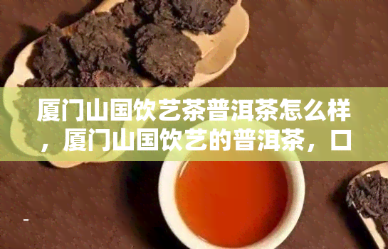 厦门山国饮艺茶普洱茶怎么样，厦门山国饮艺的普洱茶，口感如何？