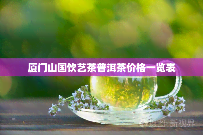 厦门山国饮艺茶普洱茶价格一览表