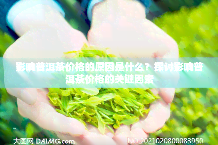 影响普洱茶价格的原因是什么？探讨影响普洱茶价格的关键因素