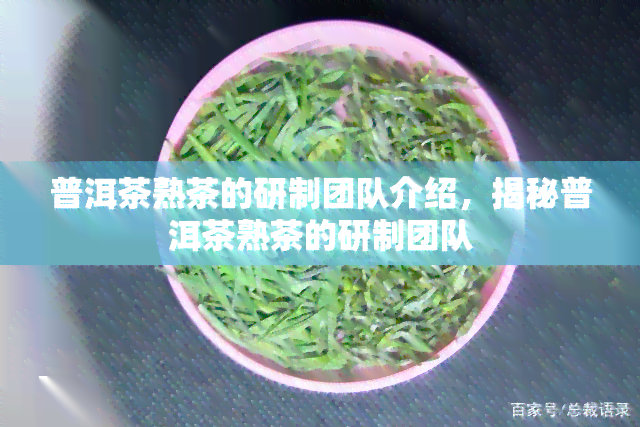 普洱茶熟茶的研制团队介绍，揭秘普洱茶熟茶的研制团队