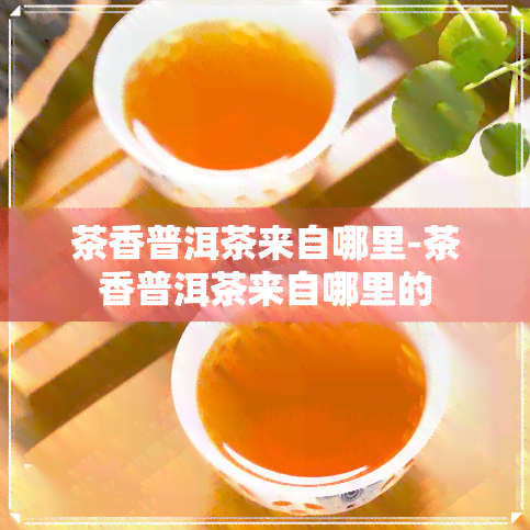 茶香普洱茶来自哪里-茶香普洱茶来自哪里的