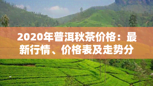 2020年普洱秋茶价格：最新行情、价格表及走势分析