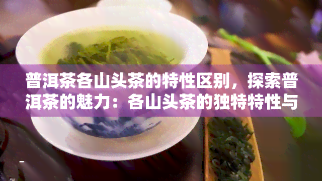 普洱茶各山头茶的特性区别，探索普洱茶的魅力：各山头茶的独特特性与区别