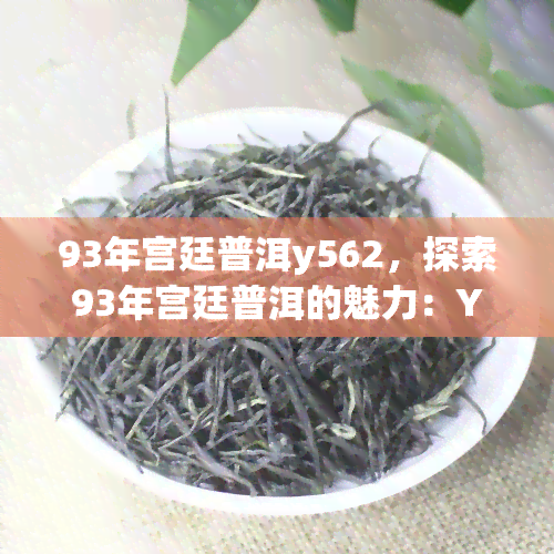 93年宫廷普洱y562，探索93年宫廷普洱的魅力：Y562的独特韵味与历背景