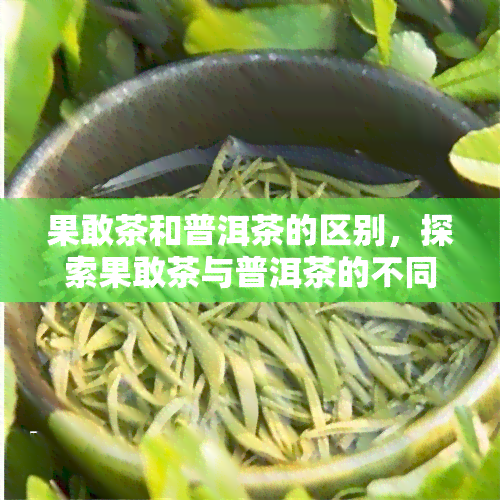 果敢茶和普洱茶的区别，探索果敢茶与普洱茶的不同之处