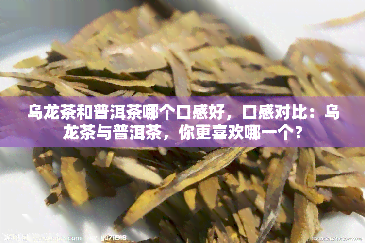 乌龙茶和普洱茶哪个口感好，口感对比：乌龙茶与普洱茶，你更喜欢哪一个？