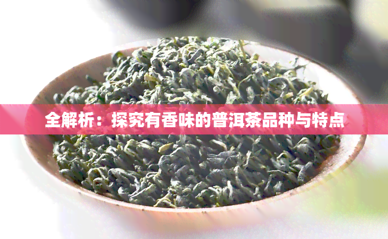 全解析：探究有香味的普洱茶品种与特点