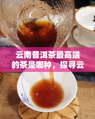 云南普洱茶更高端的茶是哪种，探寻云南普洱茶的顶级之作：哪种才是更高端的选择？