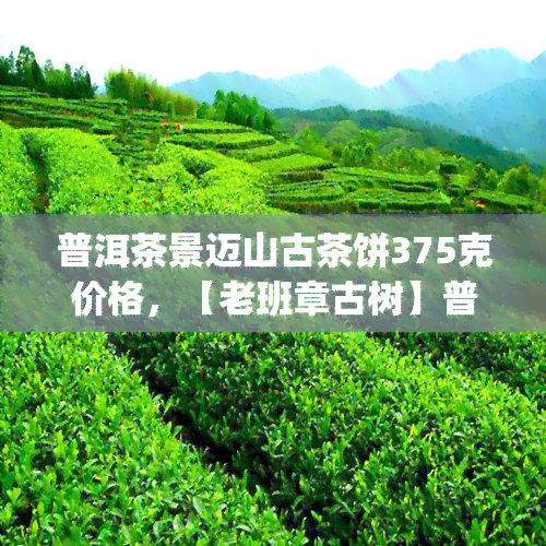 普洱茶景迈山古茶饼375克价格，【老班章古树】普洱茶 景迈山古树纯料375g 高山生态有机茶叶 古茶饼 2021新茶