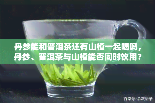 丹参能和普洱茶还有山楂一起喝吗，丹参、普洱茶与山楂能否同时饮用？