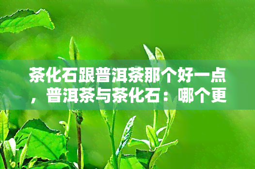 茶化石跟普洱茶那个好一点，普洱茶与茶化石：哪个更好？