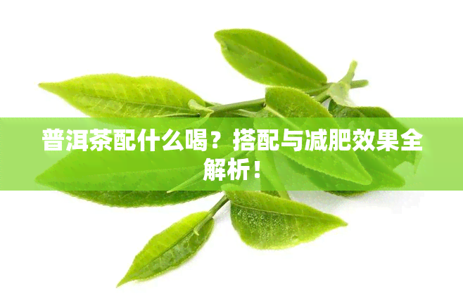 普洱茶配什么喝？搭配与减肥效果全解析！