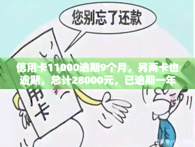 信用卡11000逾期9个月，另两卡也逾期，总计28000元，已逾期一年半