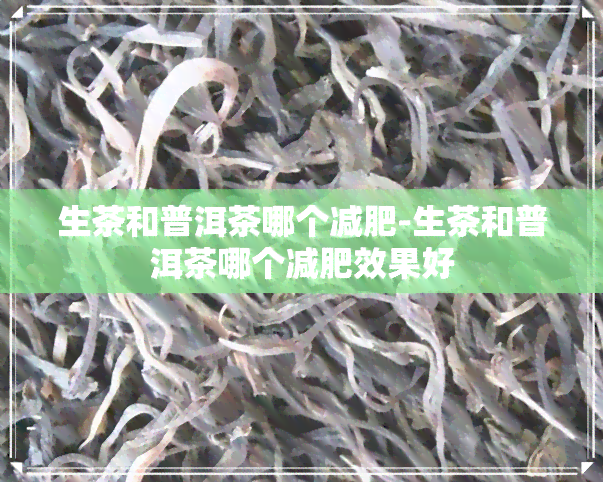 生茶和普洱茶哪个减肥-生茶和普洱茶哪个减肥效果好