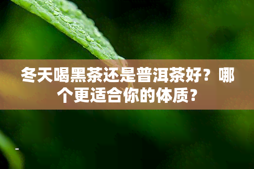 冬天喝黑茶还是普洱茶好？哪个更适合你的体质？