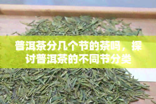 普洱茶分几个节的茶吗，探讨普洱茶的不同节分类