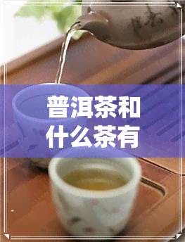 普洱茶和什么茶有区别-普洱茶和什么茶有区别呢