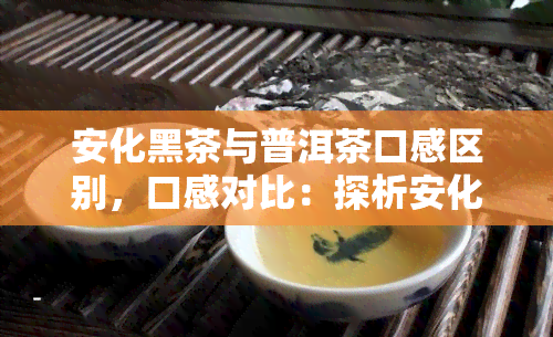 安化黑茶与普洱茶口感区别，口感对比：探析安化黑茶与普洱茶的不同之处